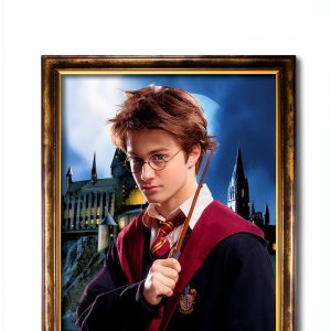Harry Potter Cinematic Guide Scholastic Children Film Book-0