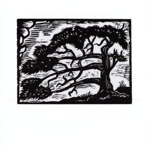 Stackpole Books Printmaking Guide Illustrated Edition-0