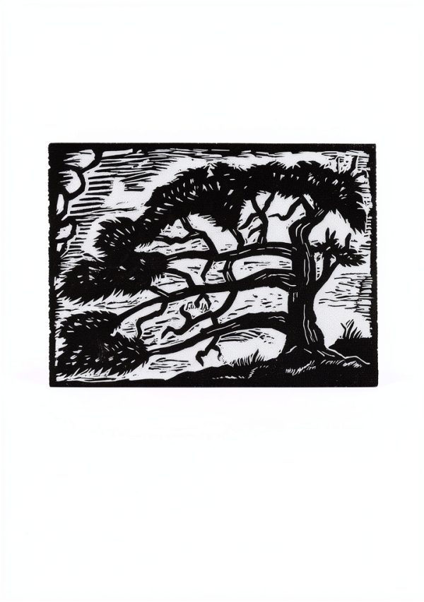 Stackpole Books Printmaking Guide Illustrated Edition-0